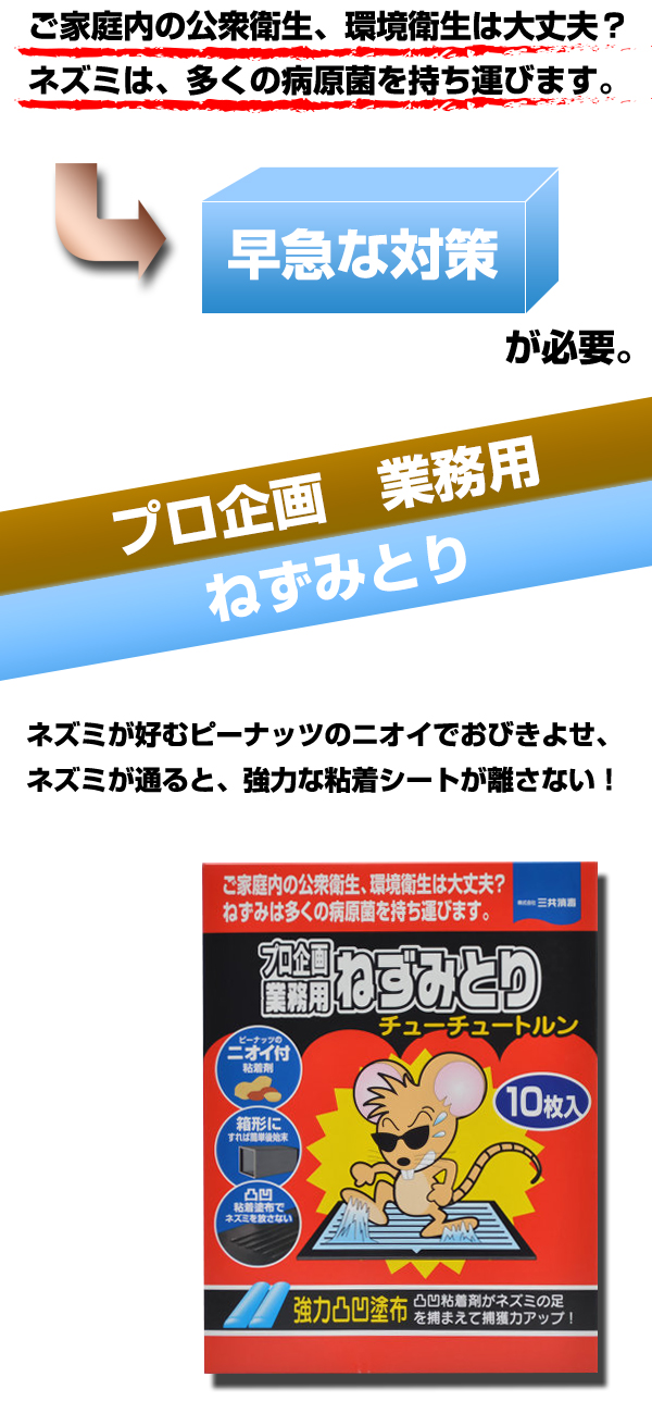 プロ企画業務用ねずみとり チューチュートルン 10枚入のトップ画像