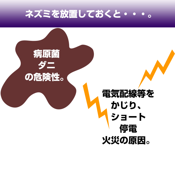 エコセーフ強力粘着 5枚入(シルバー)のトップ画像