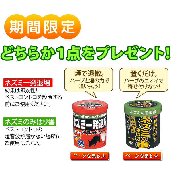 ページ内リンク